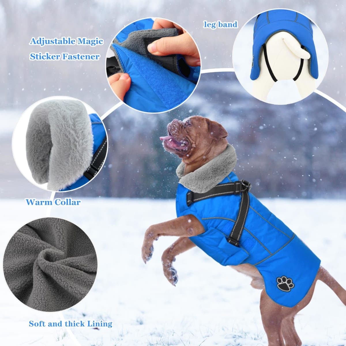 Doglay - New / Open Box | Dog Supplies thumbnail 4