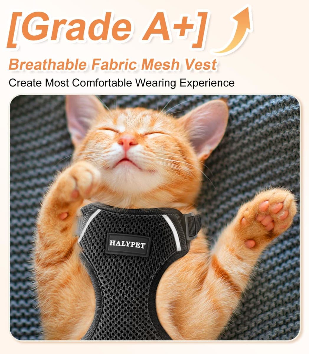 Halypet - New / Open Box | Cat Supplies thumbnail 2