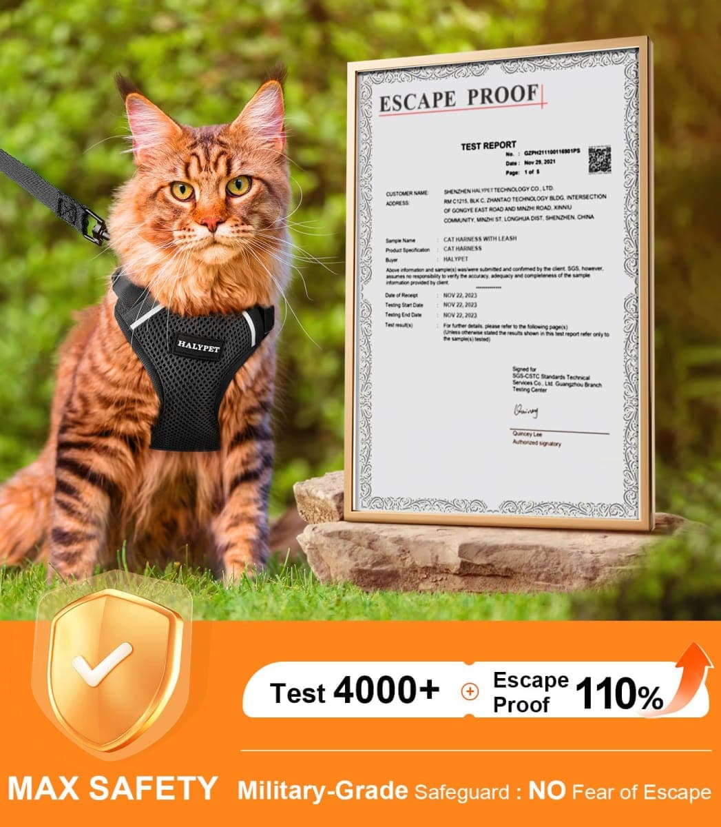 Halypet - New / Open Box | Cat Supplies thumbnail 3
