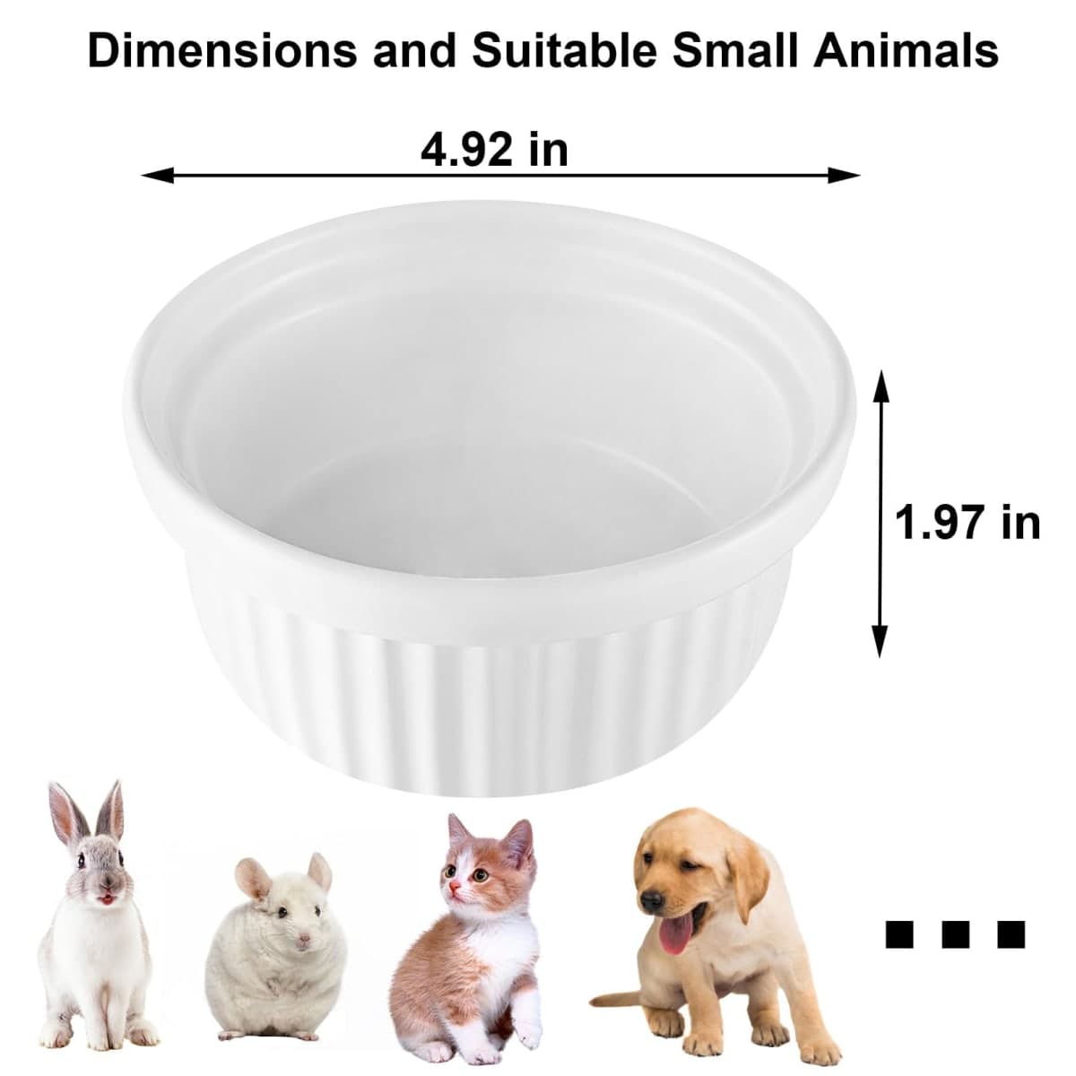 RMNHPTK - Like New | Small Animal Supplies thumbnail 4