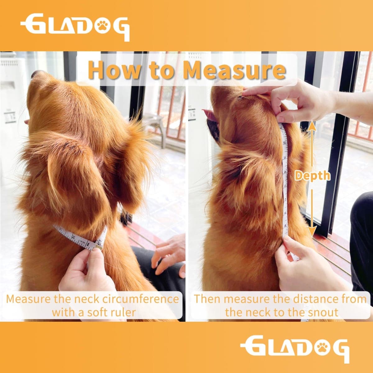 GLADOG - New / Open Box | Dog Supplies thumbnail 5