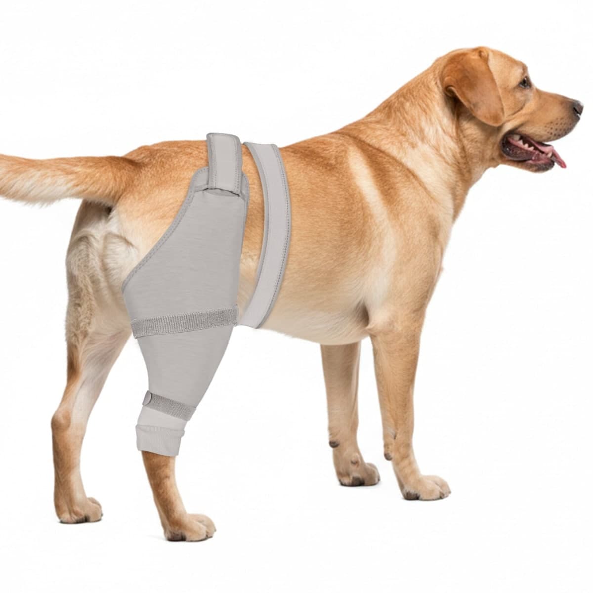 Dog Rear Leg Sleeve to Prevent Licking - Comfortable Recovery Sleeve for Back Hind Leg, Wound Recovery After Surgery for Torn ACL/CCL TPLO, Cone Alternative,Upgraded Threaded Opening (Light Grey) — image 1