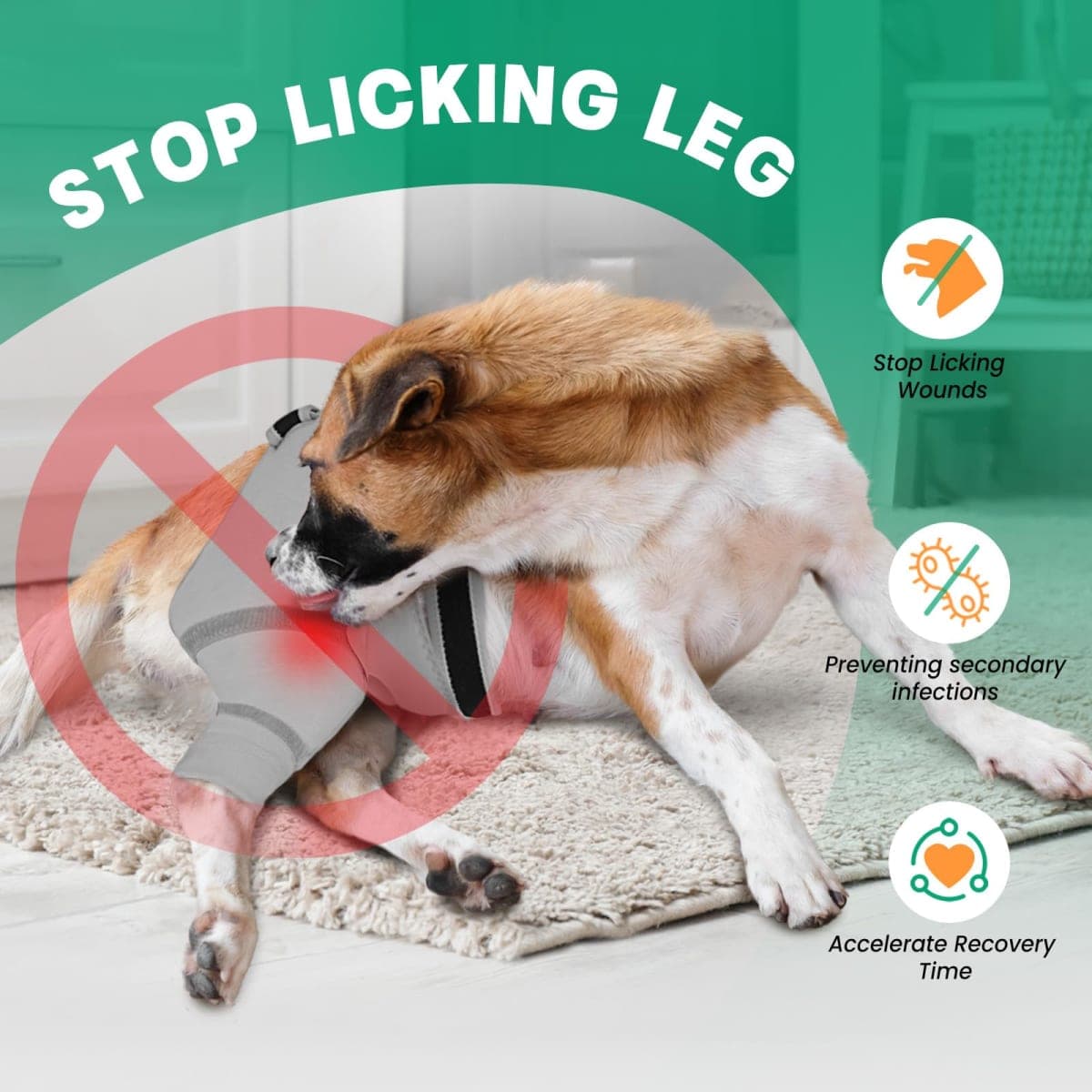 Dog Rear Leg Sleeve to Prevent Licking - Comfortable Recovery Sleeve for Back Hind Leg, Wound Recovery After Surgery for Torn ACL/CCL TPLO, Cone Alternative,Upgraded Threaded Opening (Light Grey) thumbnail 2