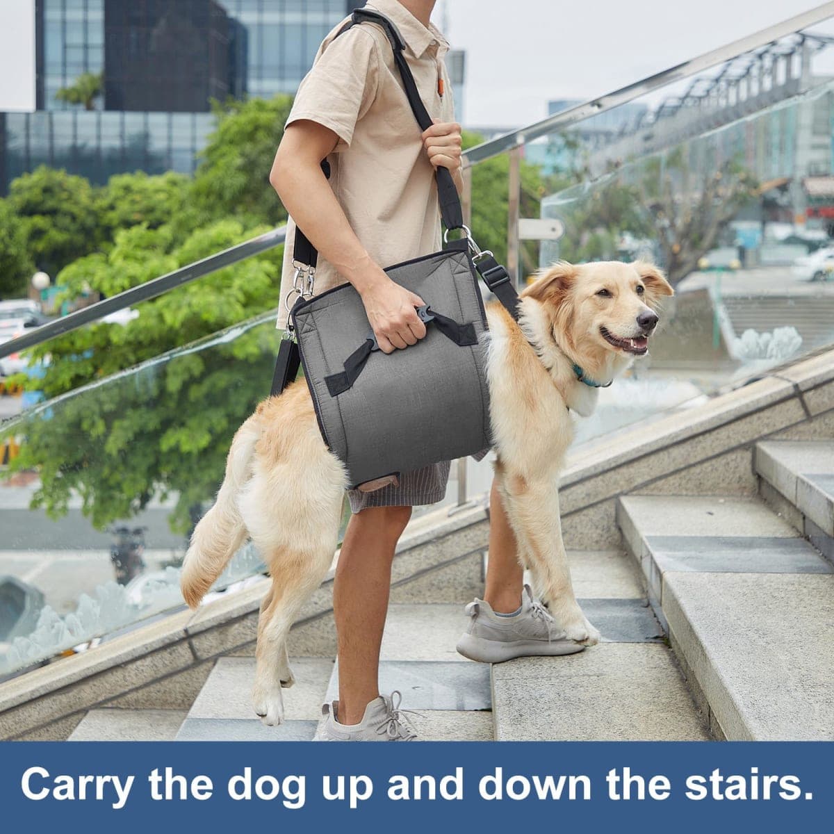 Dog Carry Sling, Emergency Backpack Pet Legs Support & Rehabilitation Dog Lift Harness for Nail Trimming, Dog Carrier for Senior Dogs Joint Injuries, Arthritis, Up and Down Stairs(XL, Black) thumbnail 3