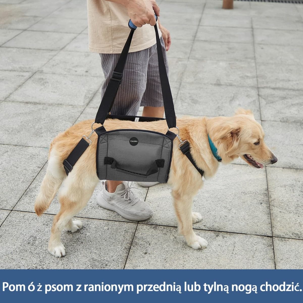 Dog Carry Sling, Emergency Backpack Pet Legs Support & Rehabilitation Dog Lift Harness for Nail Trimming, Dog Carrier for Senior Dogs Joint Injuries, Arthritis, Up and Down Stairs(XL, Black) thumbnail 4