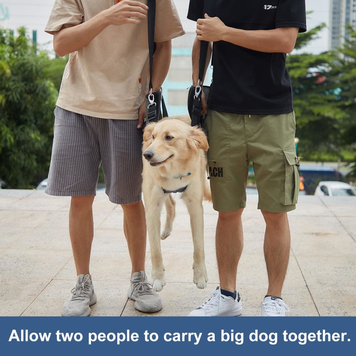 Dog Carry Sling, Emergency Backpack Pet Legs Support & Rehabilitation Dog Lift Harness for Nail Trimming, Dog Carrier for Senior Dogs Joint Injuries, Arthritis, Up and Down Stairs(XL, Black) thumbnail 5
