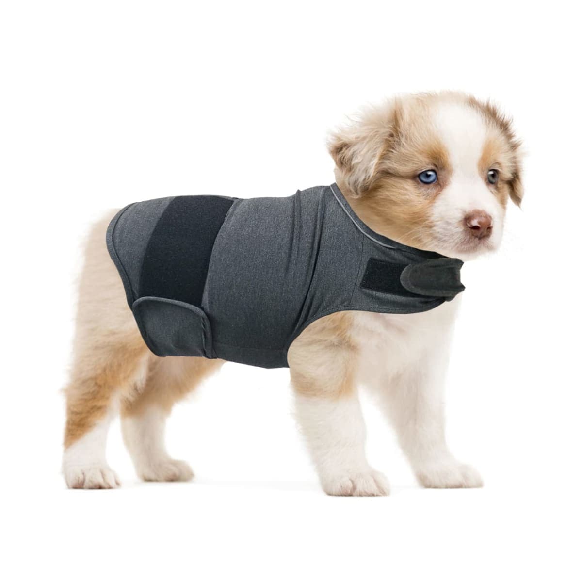 Dog Anxiety Relief Coat, Adjustable Shirts for Dogs Anxiety, Dog Anxiety Vest Jacket for Fireworks, Thunderstorm, Travel, Separation, Anxiety Calming Vest Wrap for Small Medium Large Dog (XS) — image 1