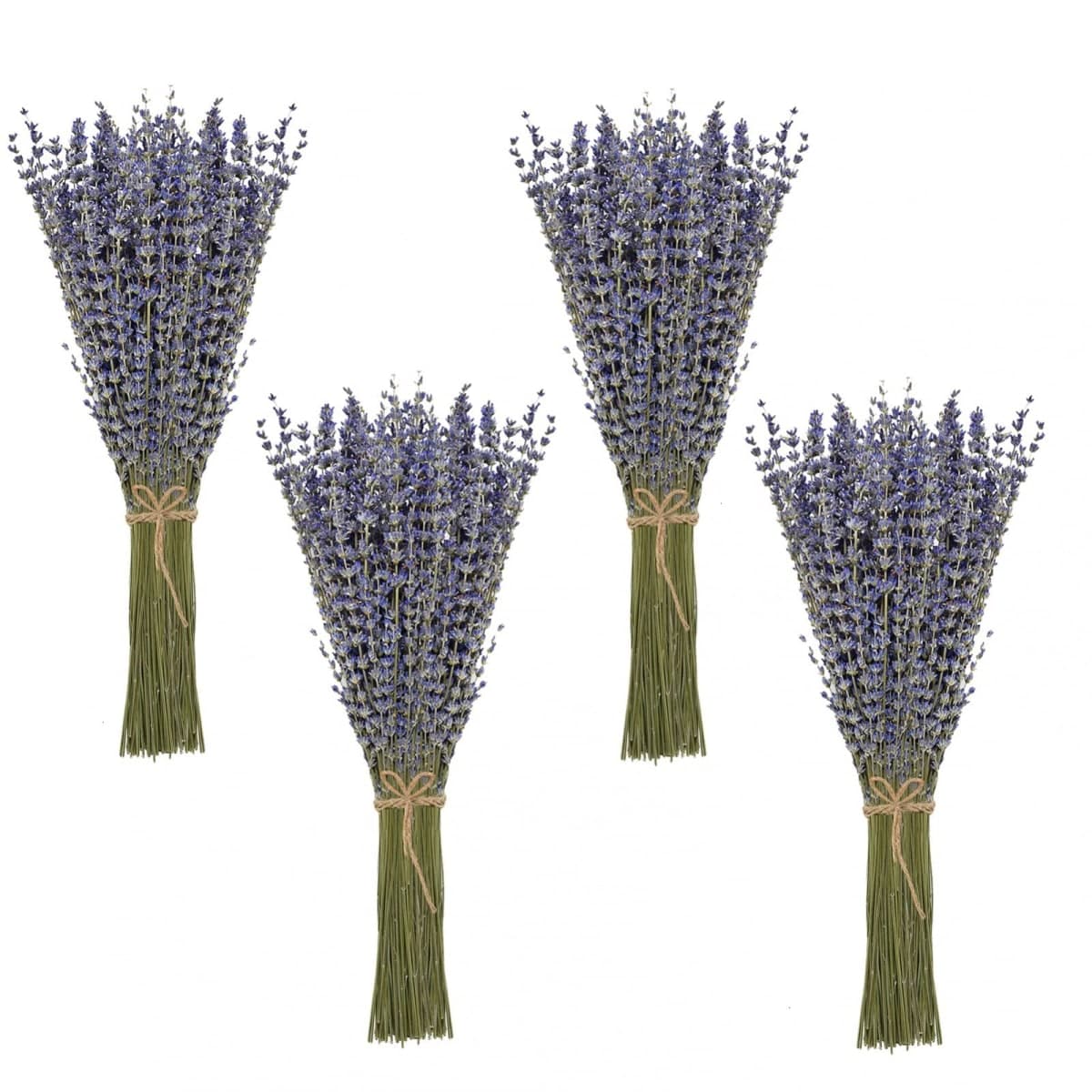 Timoo Dried Lavender Bundles 100% Natural Dried Lavender Flowers for Home Decoration, Photo Props, Home Fragrance, 4 Bundles Pack — image 1