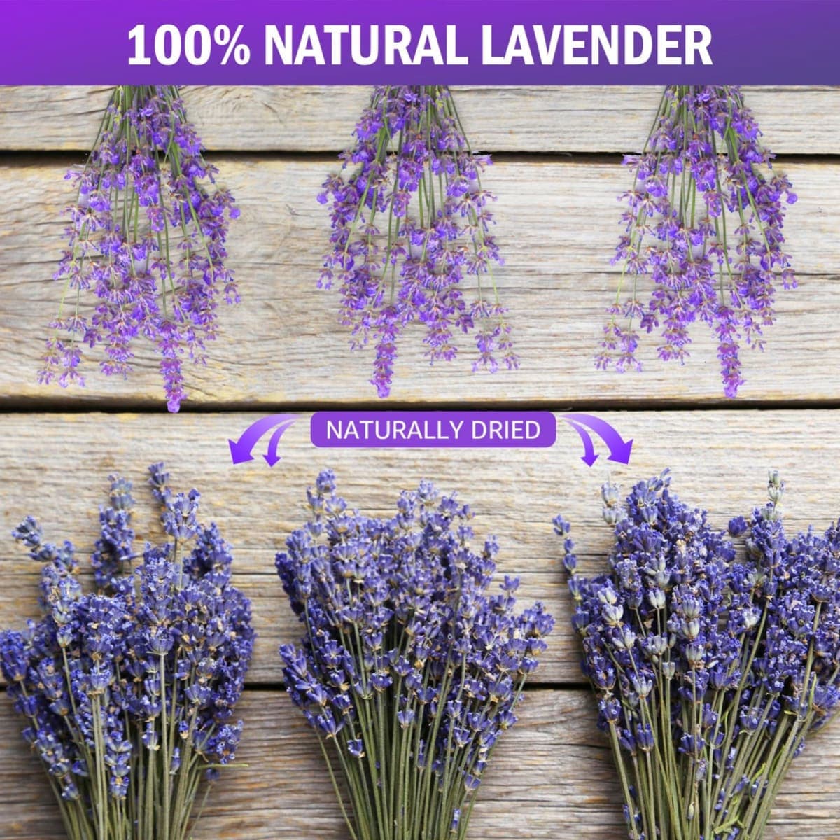 Timoo Dried Lavender Bundles 100% Natural Dried Lavender Flowers for Home Decoration, Photo Props, Home Fragrance, 4 Bundles Pack thumbnail 2