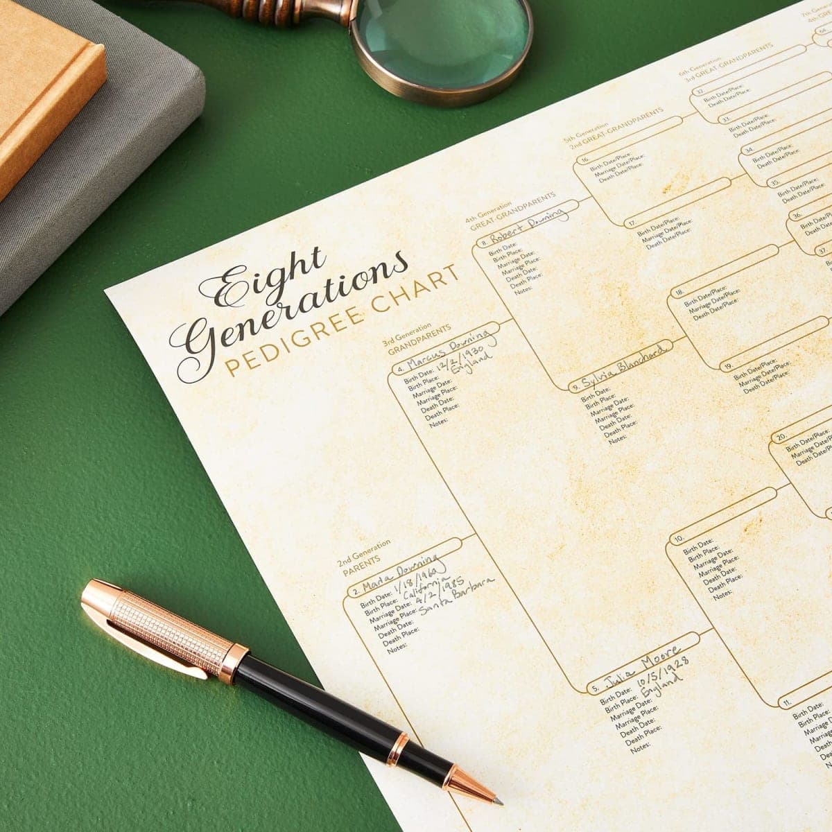 15-Pack Family Tree Charts to Fill In, Blank 8 Generation Genealogy Poster for Family History, Lineage, Reunions, Large Pedigree Chart, 255 Total Name Spaces (17x22 in) thumbnail 2