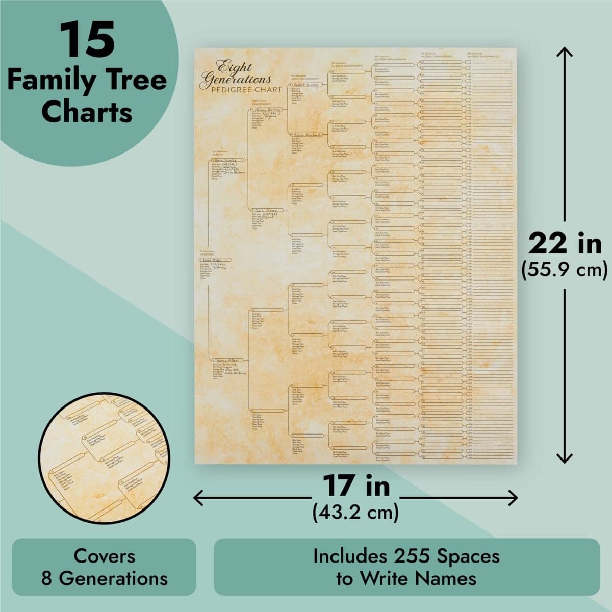 15-Pack Family Tree Charts to Fill In, Blank 8 Generation Genealogy Poster for Family History, Lineage, Reunions, Large Pedigree Chart, 255 Total Name Spaces (17x22 in) thumbnail 4