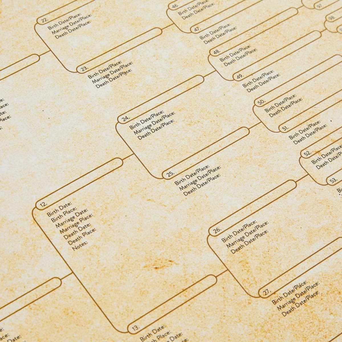 15-Pack Family Tree Charts to Fill In, Blank 8 Generation Genealogy Poster for Family History, Lineage, Reunions, Large Pedigree Chart, 255 Total Name Spaces (17x22 in) thumbnail 5