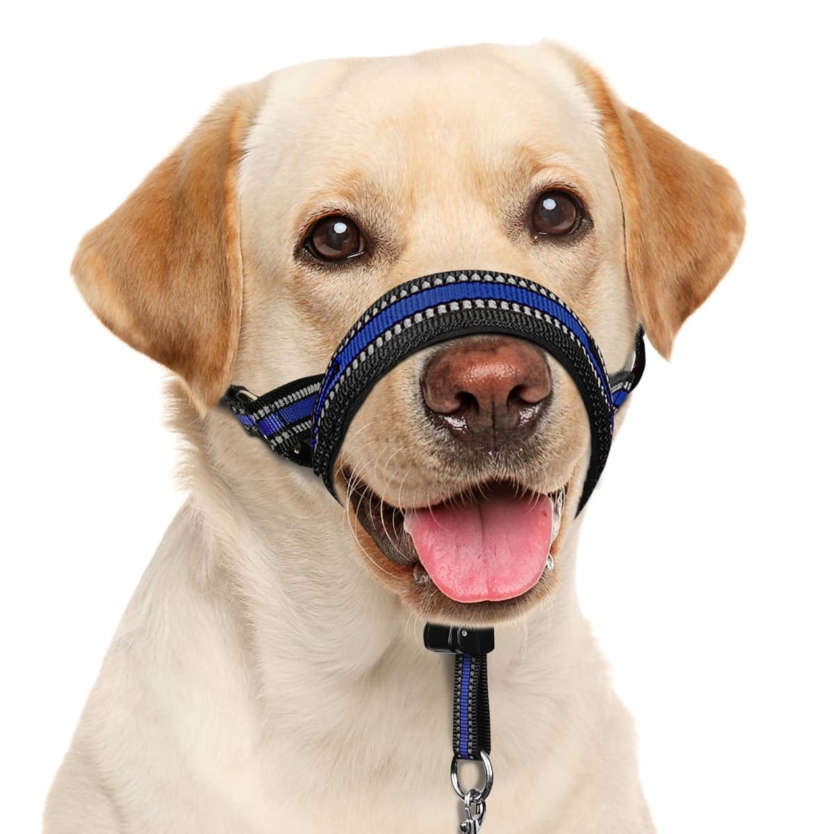 BARKLESS Soft Dog Head Collar, Padded No Pull Head Halter, Training Nose Leash with Safety Link for Medium Large Dogs, Adjustable Muzzle Leash, Easy Control for Walking(Blue, L) — image 1