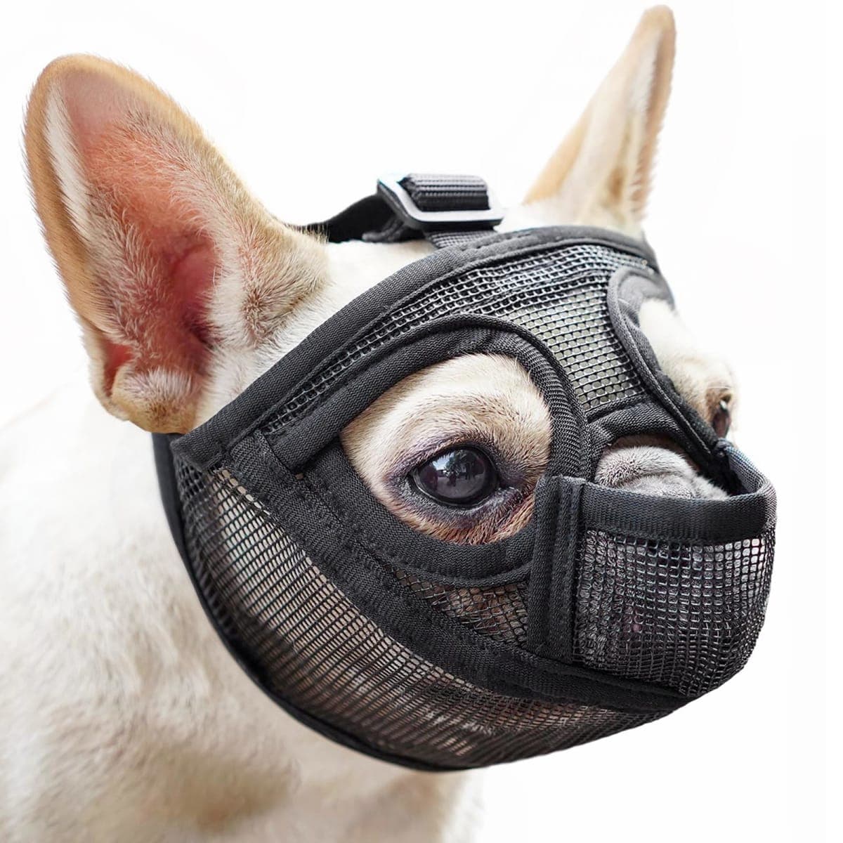 Mayerzon Short Snout Dog Muzzle for French Bulldog with Full Pant Design to Prevent Eating Biting, Soft Mesh Dog Muzzle for Shih Tzu Pug English Bulldog for Grooming Walking, Allow to Drink and Feed — image 1