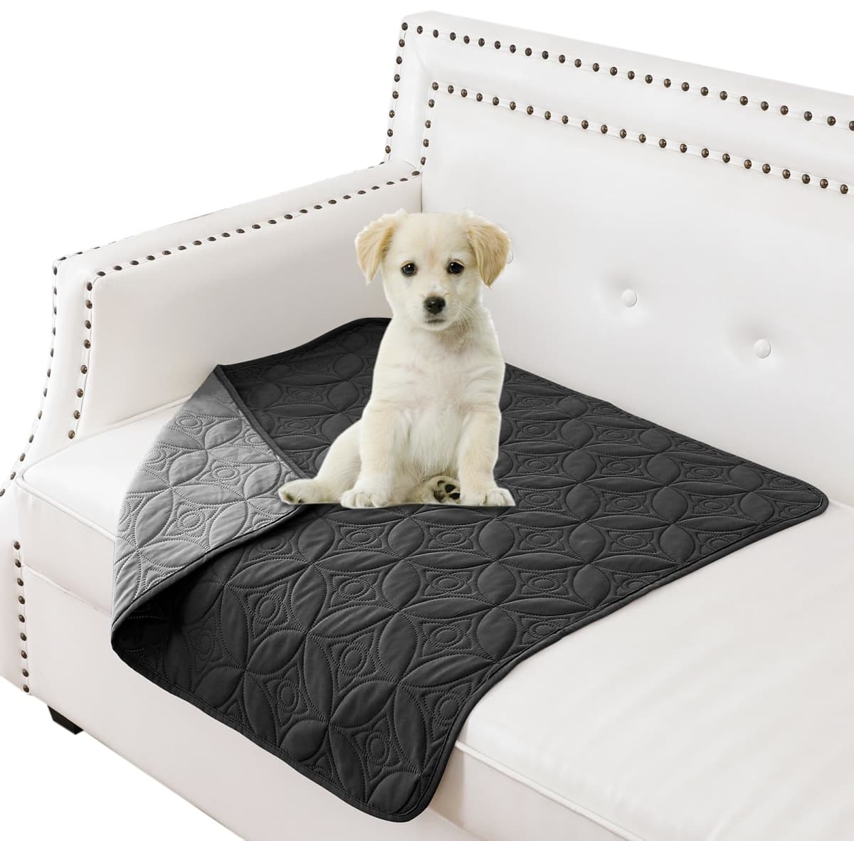 Tuffeel Waterproof Dog Blanket, 30x30 inches Small Pet Couch Covers for Sofa, Chair Bed Furniture Protector from Dogs Washable and Reversible-Black+Darkgrey — image 1