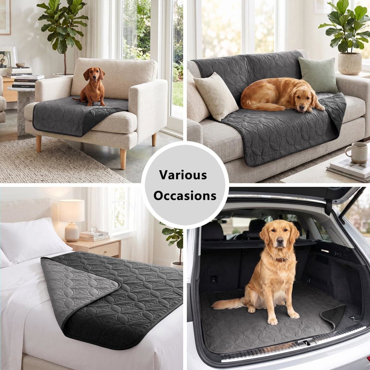 Tuffeel Waterproof Dog Blanket, 30x30 inches Small Pet Couch Covers for Sofa, Chair Bed Furniture Protector from Dogs Washable and Reversible-Black+Darkgrey thumbnail 5