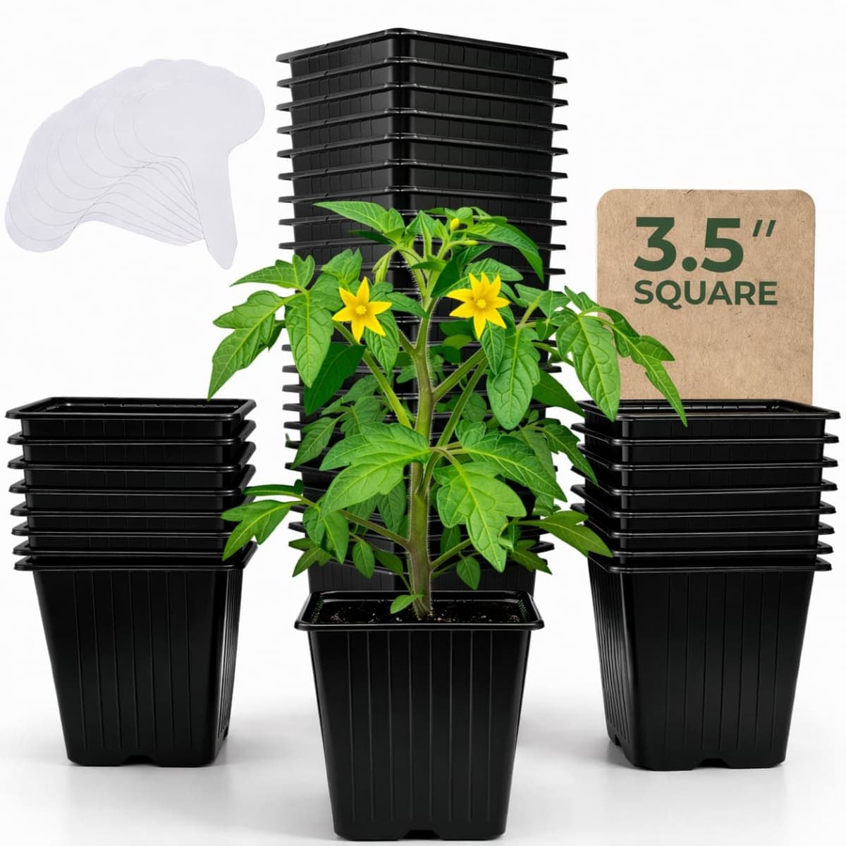 CARPATHEN - New / Open Box | Gardening Tools