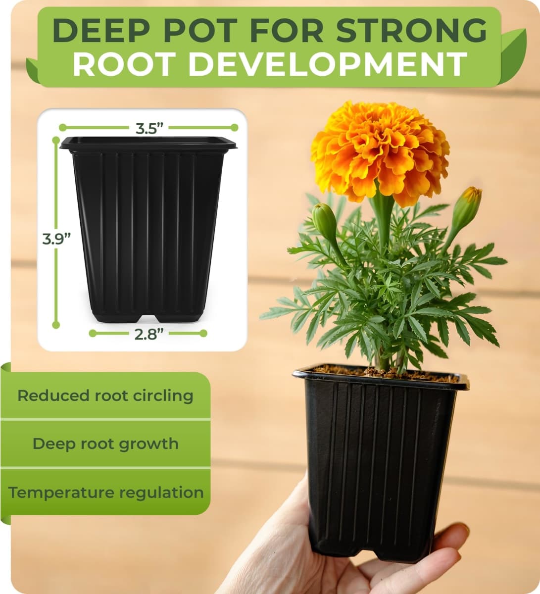 CARPATHEN 70Pack Square Nursery Pots - 3.8 Inch Sturdy Deep Plastic Seedling Pots - Reusable Seed Starter Pots for Plants, Succulent, Flowers, Vegetables - Plant Starter Pots and Sticker Labels thumbnail 2