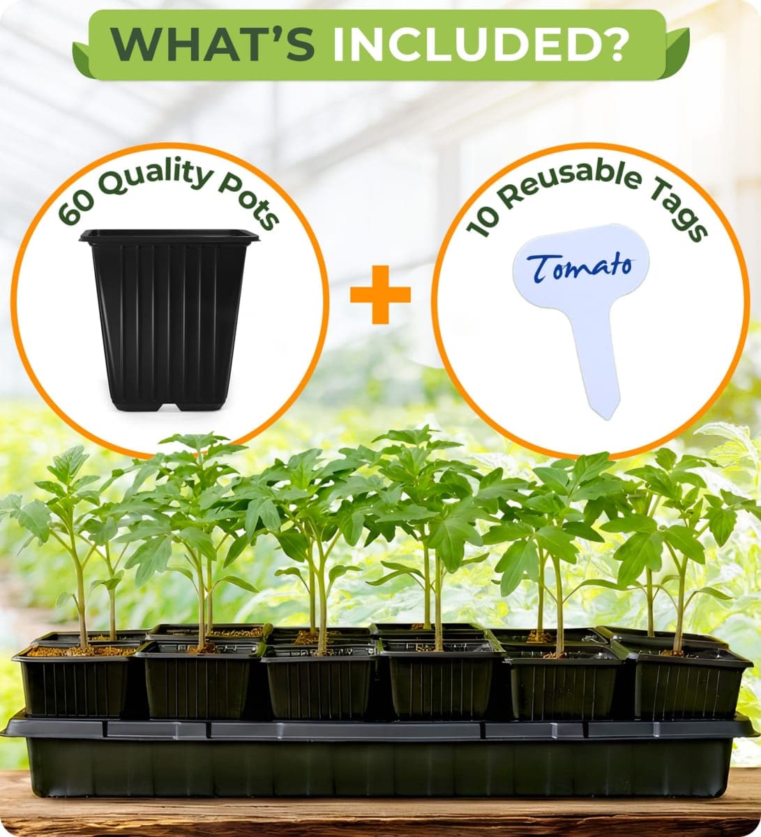 CARPATHEN 70Pack Square Nursery Pots - 3.8 Inch Sturdy Deep Plastic Seedling Pots - Reusable Seed Starter Pots for Plants, Succulent, Flowers, Vegetables - Plant Starter Pots and Sticker Labels thumbnail 4