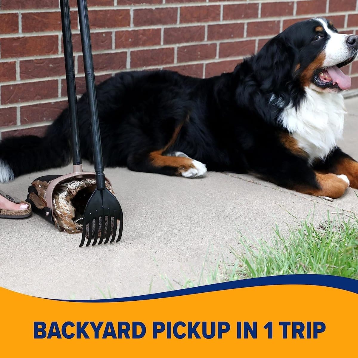 Petmate Arm & Hammer Swivel Bin & Rake Pooper Scooper Waste Management System (2 Bonus Heavy Duty Handle Tie Waste Bags Included for Premium Odor Control) thumbnail 5