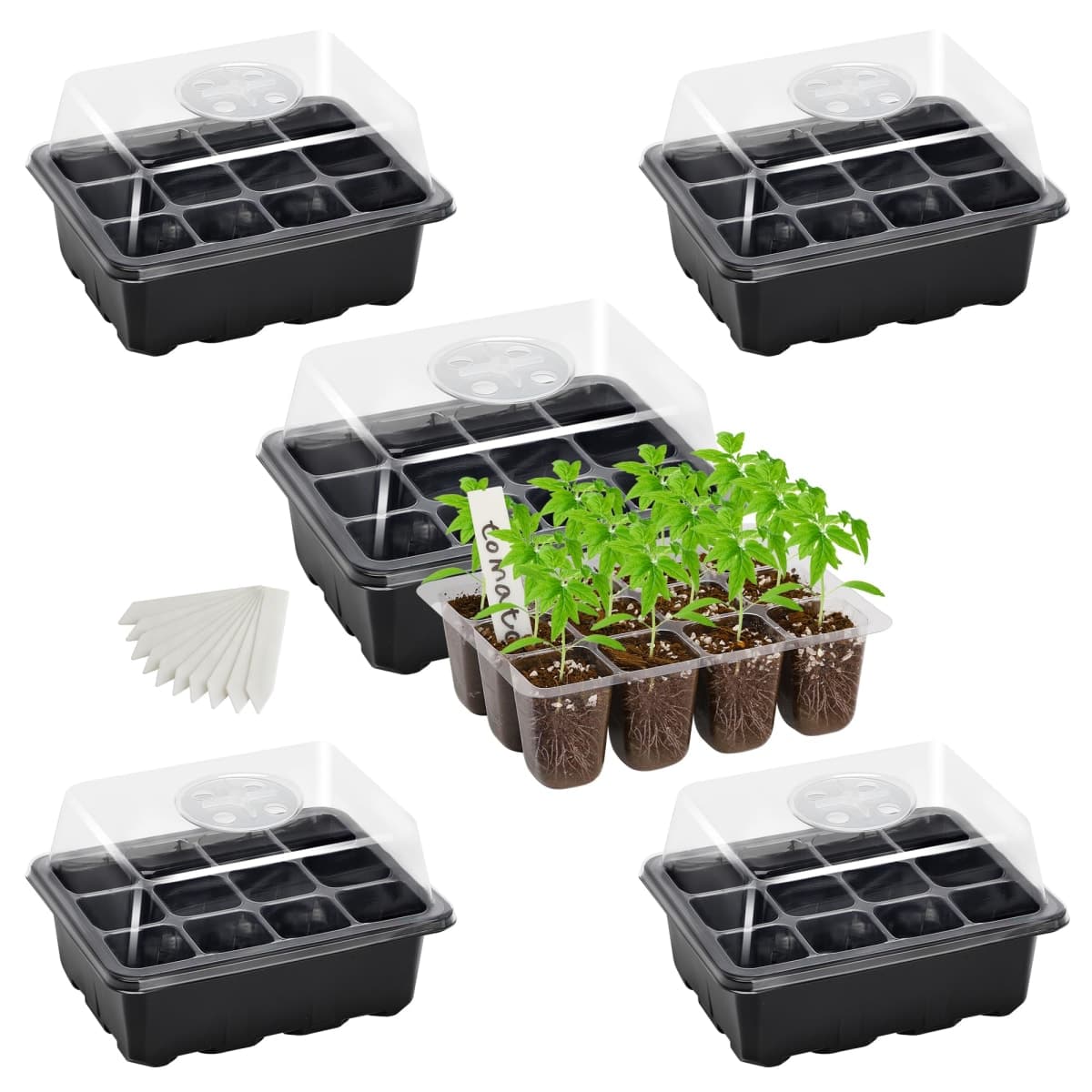5-Pack Seed Starter Tray Seedling Kits,Plant Starter Kit with Adjustable Humidity Dome and Base Indoor Greenhouse Mini Propagator for Seeds Growing Starting (12 Cells per Tray，Black) — image 1