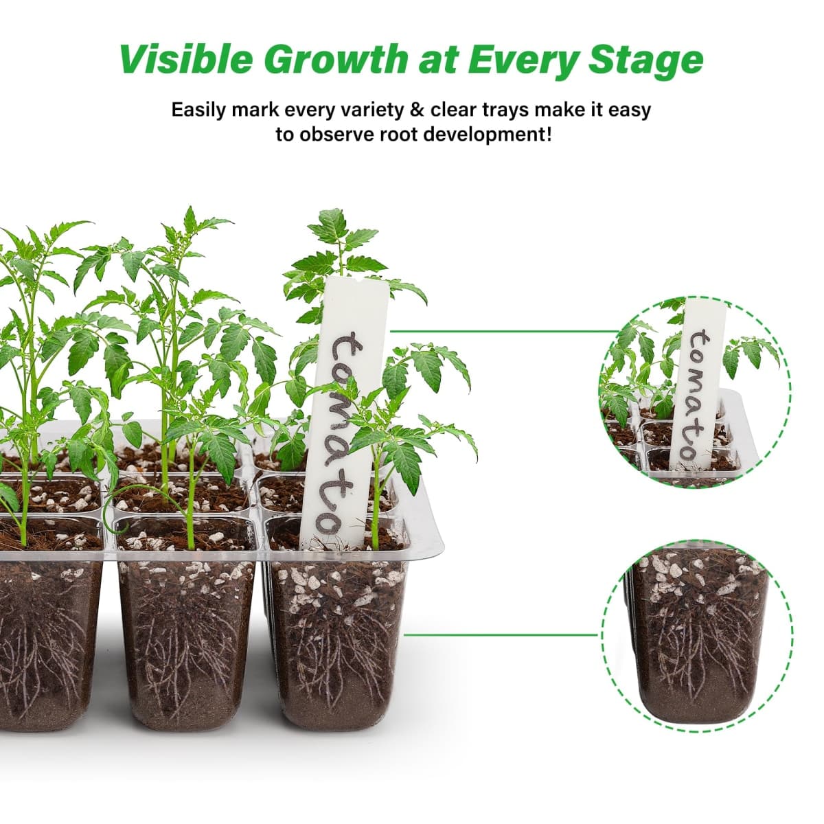 5-Pack Seed Starter Tray Seedling Kits,Plant Starter Kit with Adjustable Humidity Dome and Base Indoor Greenhouse Mini Propagator for Seeds Growing Starting (12 Cells per Tray，Black) thumbnail 4
