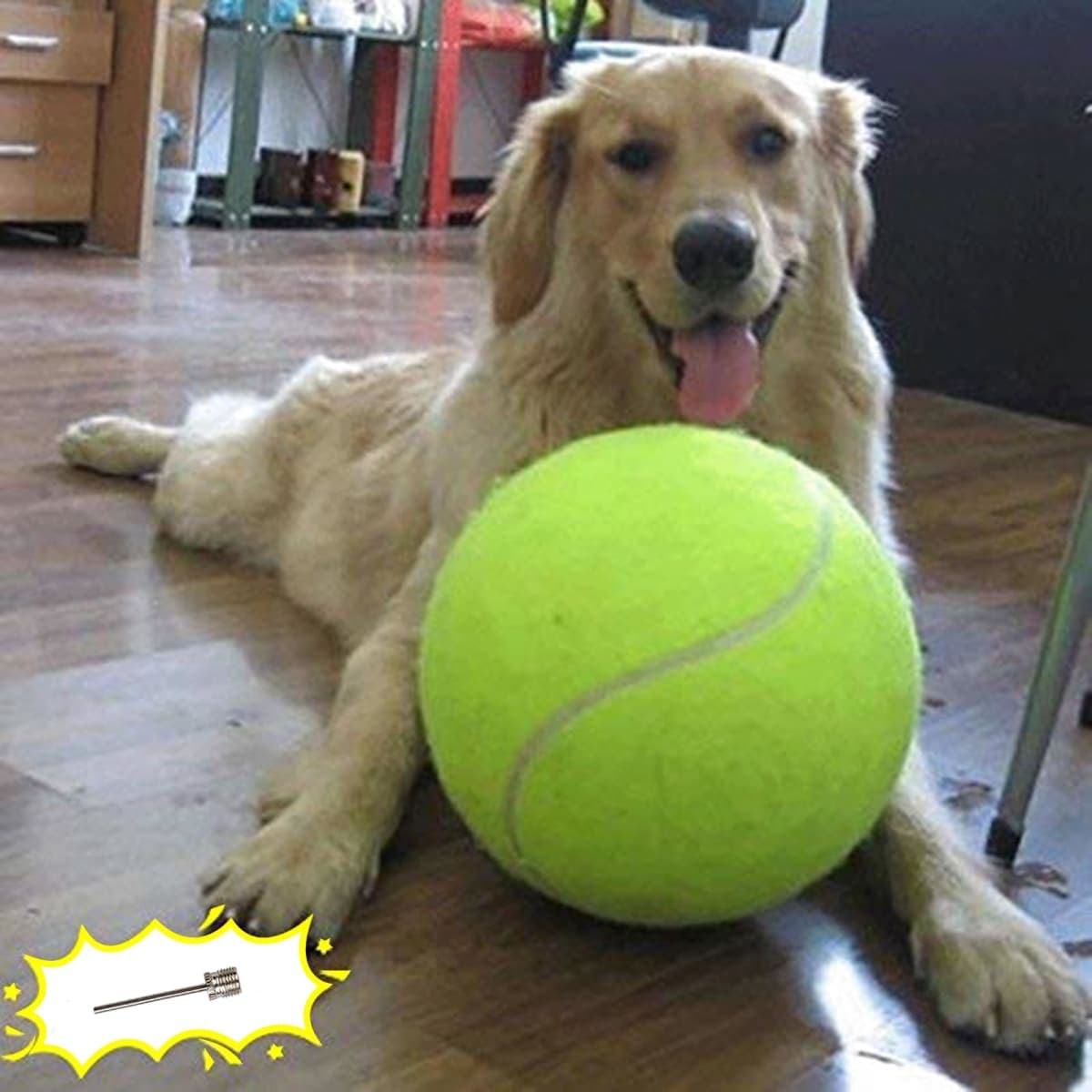 Banfeng - New / Open Box | Dog Supplies