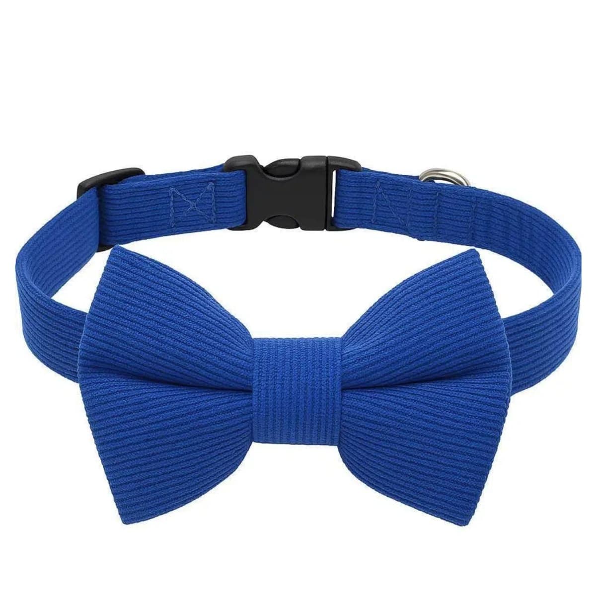 THAIN - New / Open Box | Dog Supplies