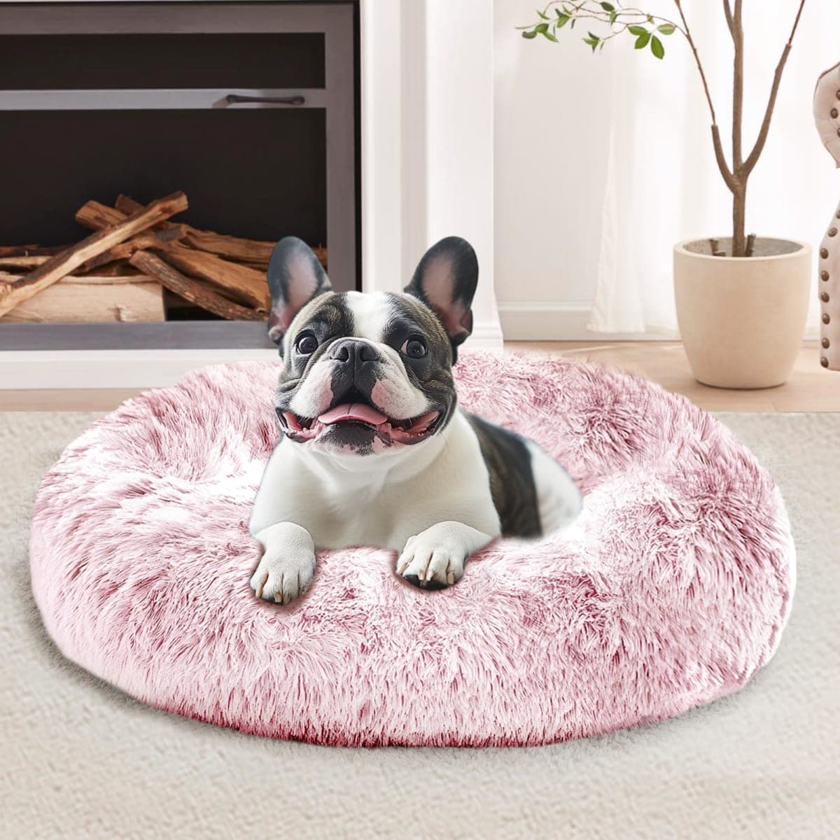 JOLLYVOGUE - Sealed | Dog Supplies