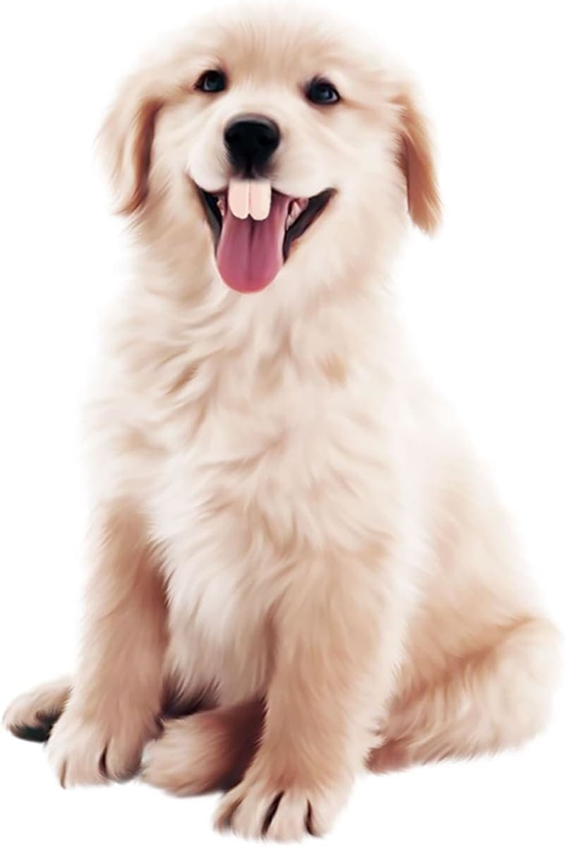 Dog Fake Teeth - White Braces for Christmas Costume, Funny Chew Toy, Pet Supplies, Buck Teeth, Decorations thumbnail 4