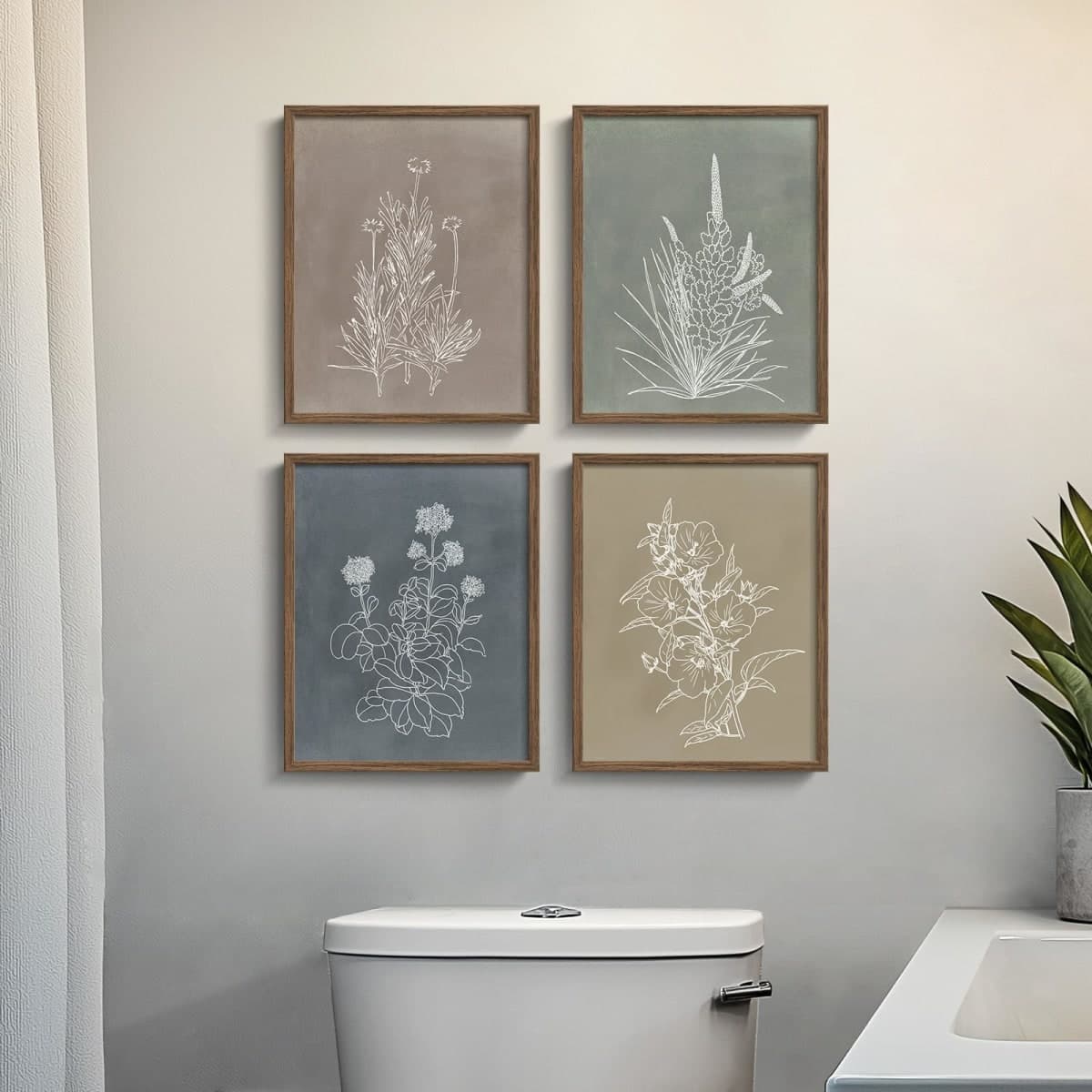 Cuspin - New / Open Box | Wall Art