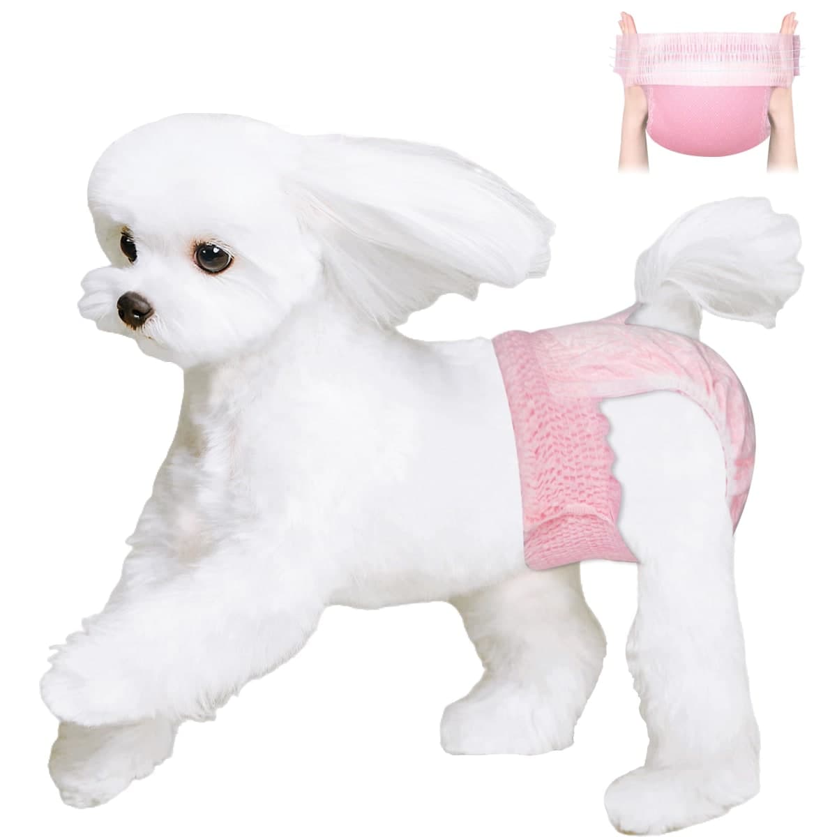 Ambreview - New / Open Box | Dog Supplies