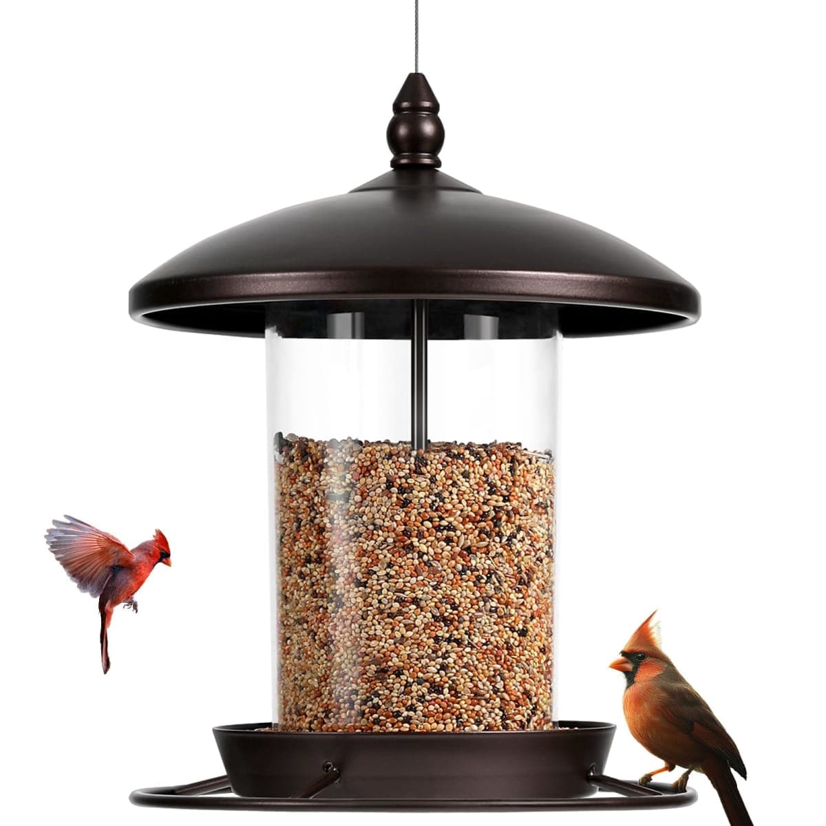 Youvip - New / Open Box | Bird Supplies