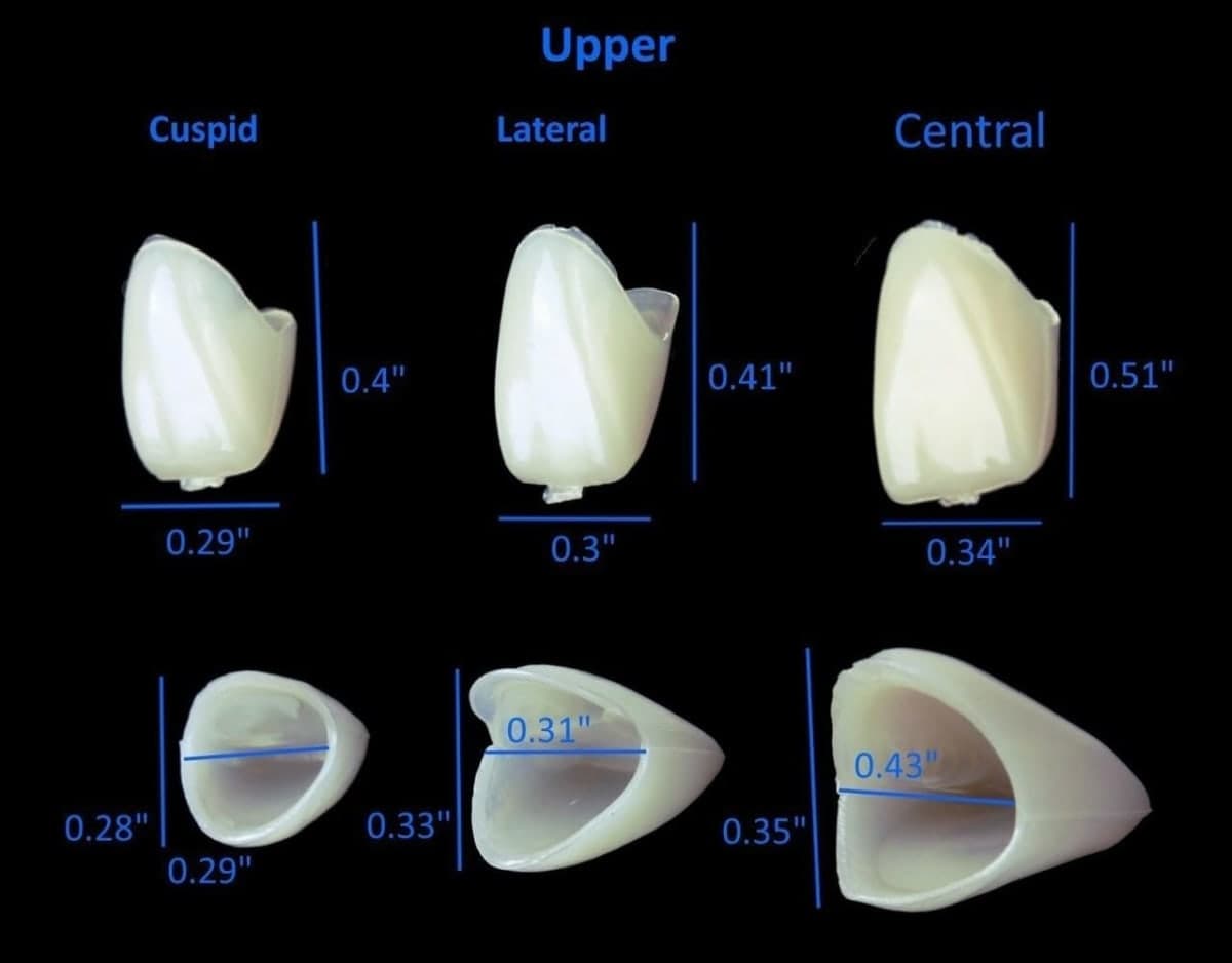 Mixed Sizes Dental Temporary Crown Kit Anteriors Box/50 thumbnail 5