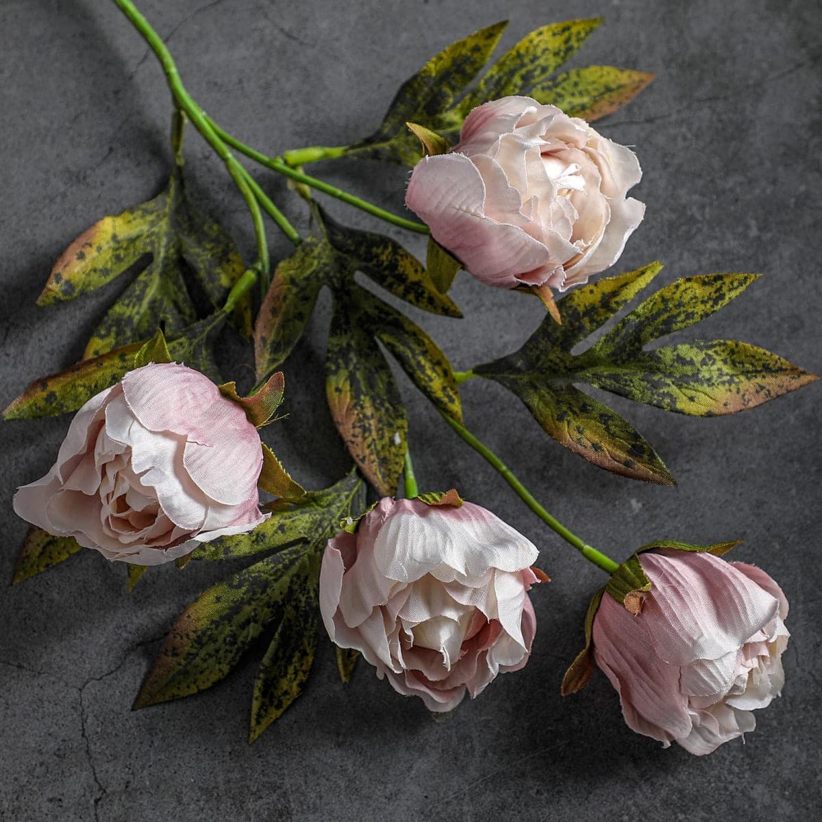 Thiccywoov 8 Pcs Artificial Silk Peony Flowers Bulk Vintage Distressed Fake Peonies Branches with Stems for DIY Bouquet Centerpieces Wedding Fillers Arrangements Shower Decorations thumbnail 2
