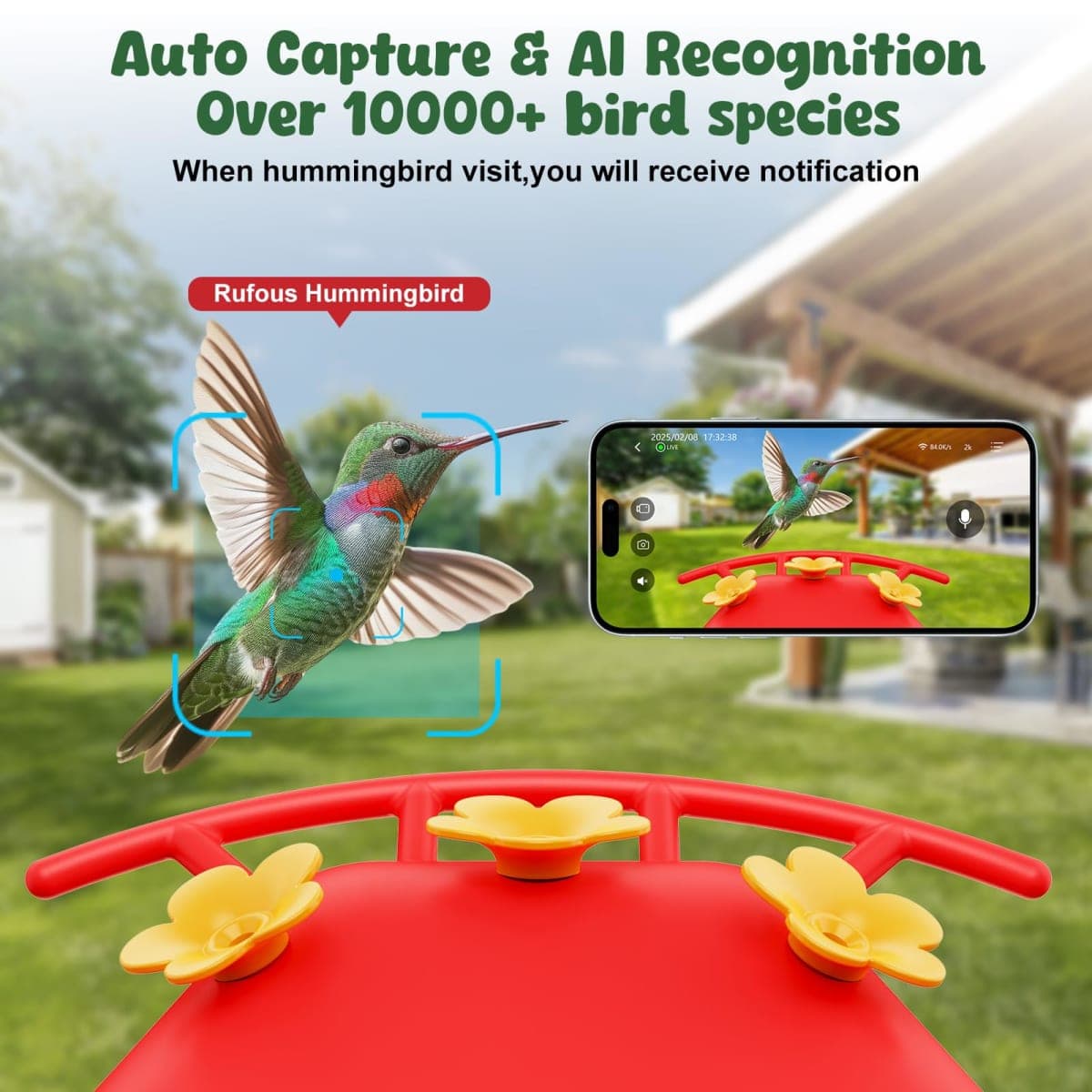 Svanur Smart Hummingbird Feeder with Camera Solar Powered,AI Identify Bird Species,Ant Moat,Bee Proof,Instant Notifications,W/32G Card,2K Live Video,Easy Clean & Refill,Ideal Gifts for Bird Lovers thumbnail 2