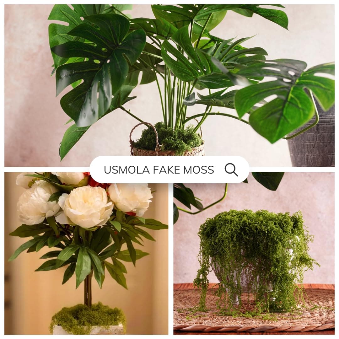 USMOLA Fake Moss for Potted Plants Indoor, 7OZ Green Moss for Crafts - Realistic Faux Moss Decor for DIY, Terrariums, Fairy Gardens & Table Centerpieces - Craft Moss for Home Decor (Natural Green) thumbnail 5