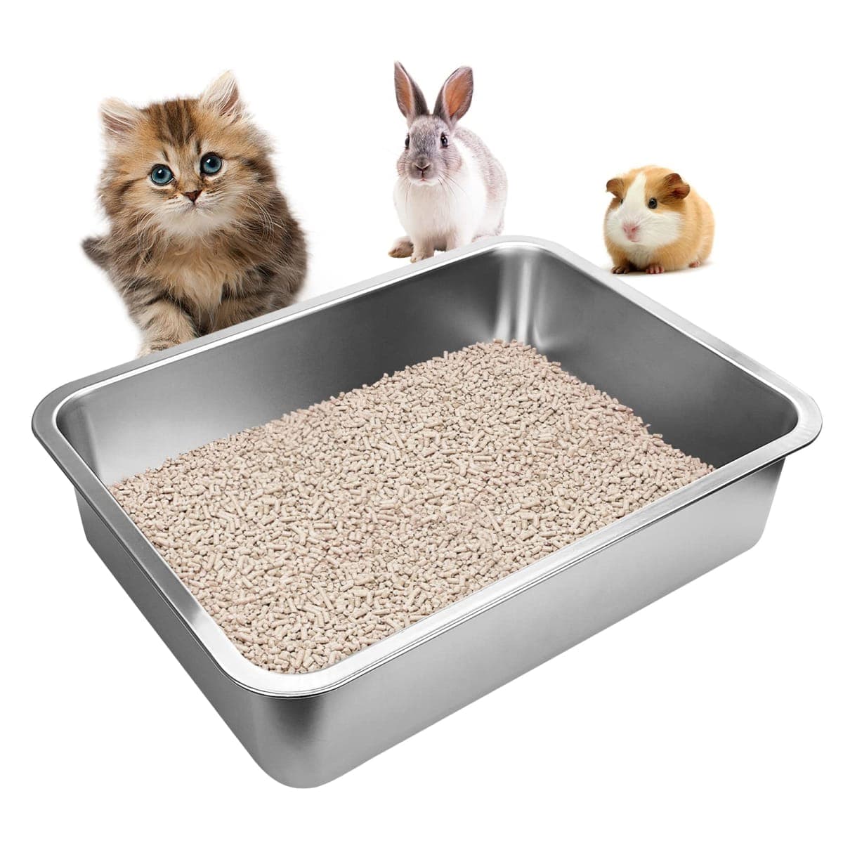 GCVOPTON - New / Open Box | Cat Supplies