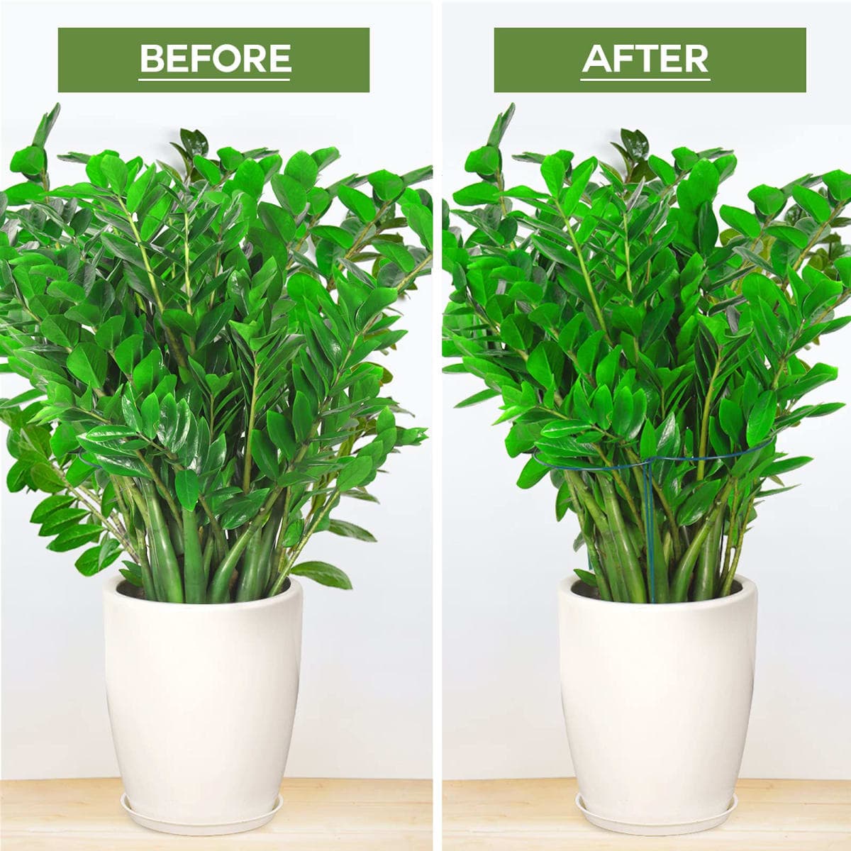 LEOBRO Plant Support Stakes, 6PCS Plant Stakes, Plant Support, Garden Stakes, Peony Cages and Supports, Plant Supports for Outdoor Plants, Monstera Tomato Hydrangea Support Cage, 9.8" W x 15.7" H thumbnail 5