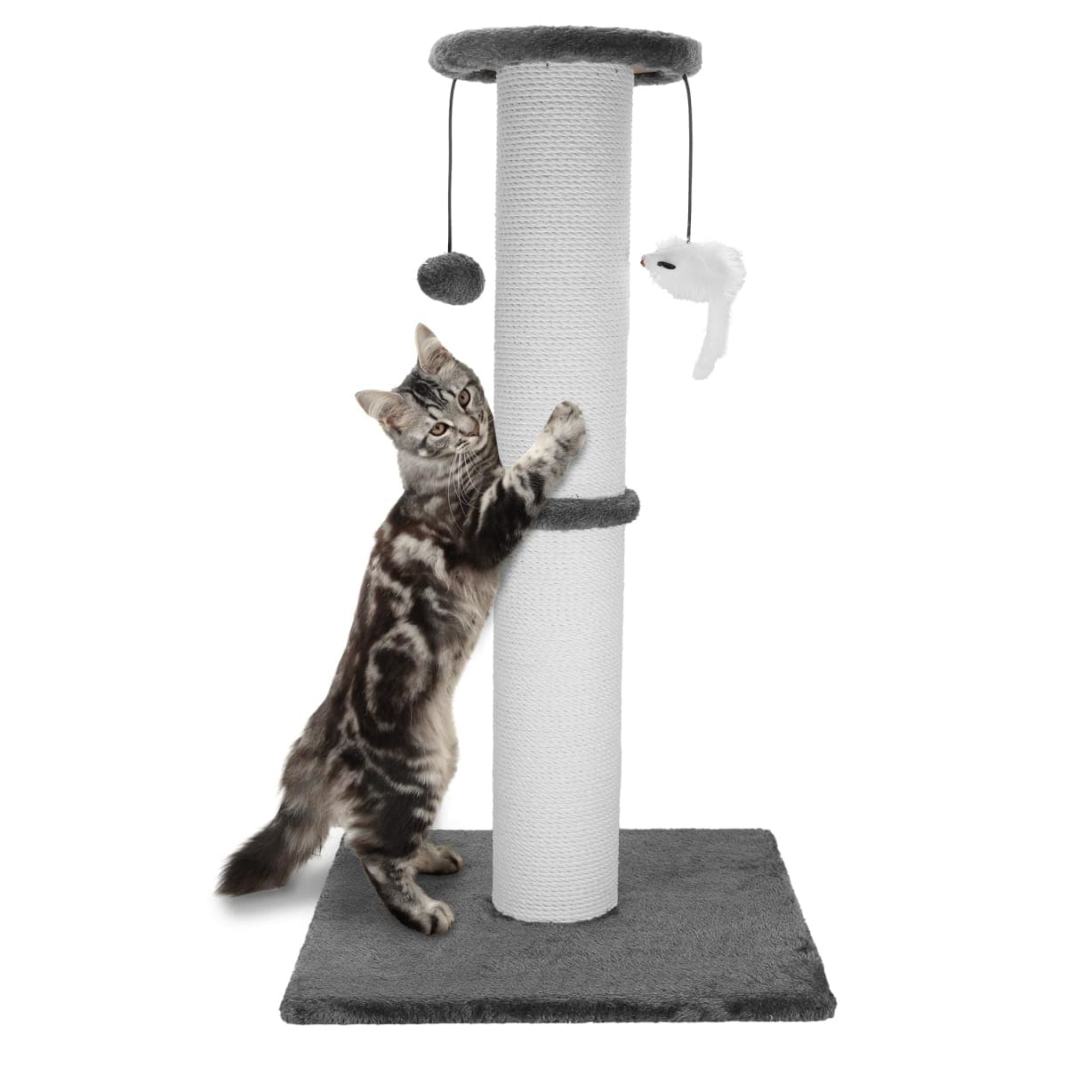 Ahomdoo - New / Open Box | Cat Supplies