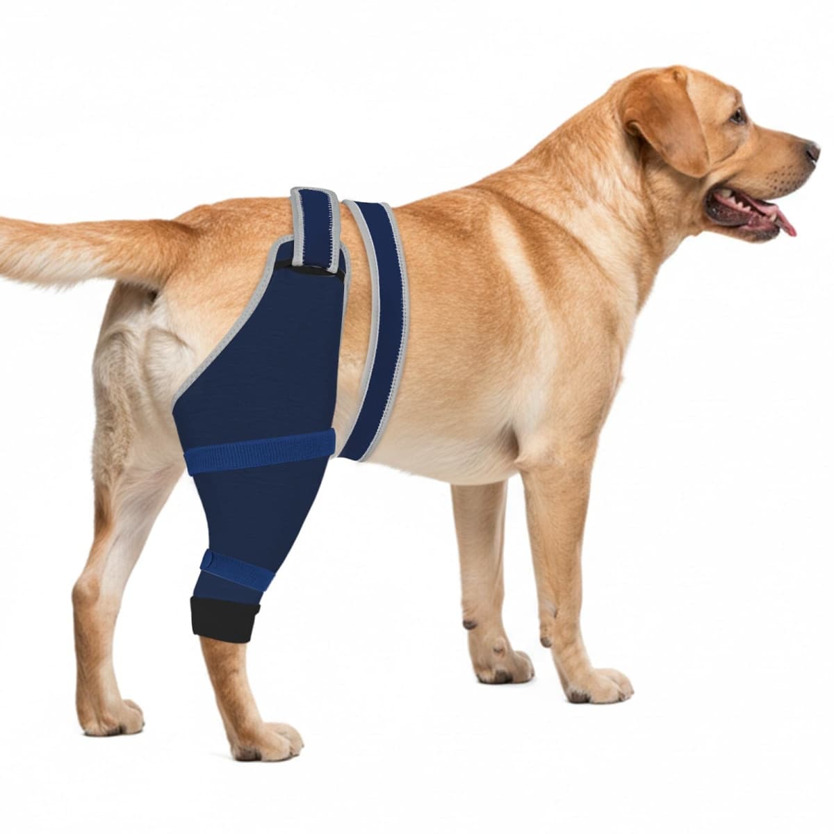 Joypig - New / Open Box | Dog Supplies