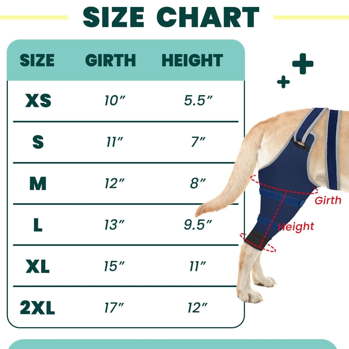 Dog Leg Sleeve to Stop Licking for Male Dogs thumbnail 4