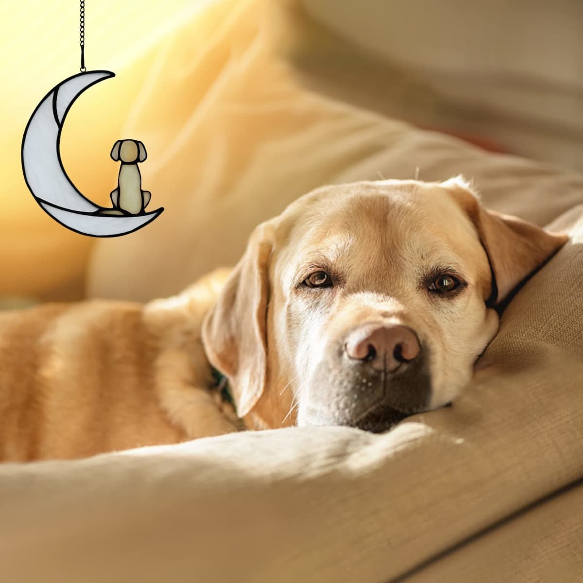 BOXCASA Loss of Dog Sympathy Gift,Stained Glass Dog on Moon for Suncatcher Gifts,Yellow Dog Memorial Gifts for Pet Loss Gifts,Pet Sympathy Gifts for Dogs,Pet Memorial Gifts thumbnail 4