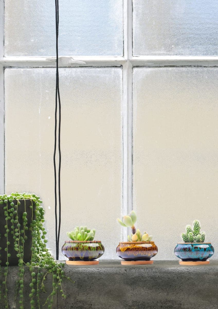 LamDawn Cute Ceramic Succulent Garden Pots, Planter with Drainage and Attached Saucer, Set of 5 -Plants Not Included (Burner) thumbnail 3