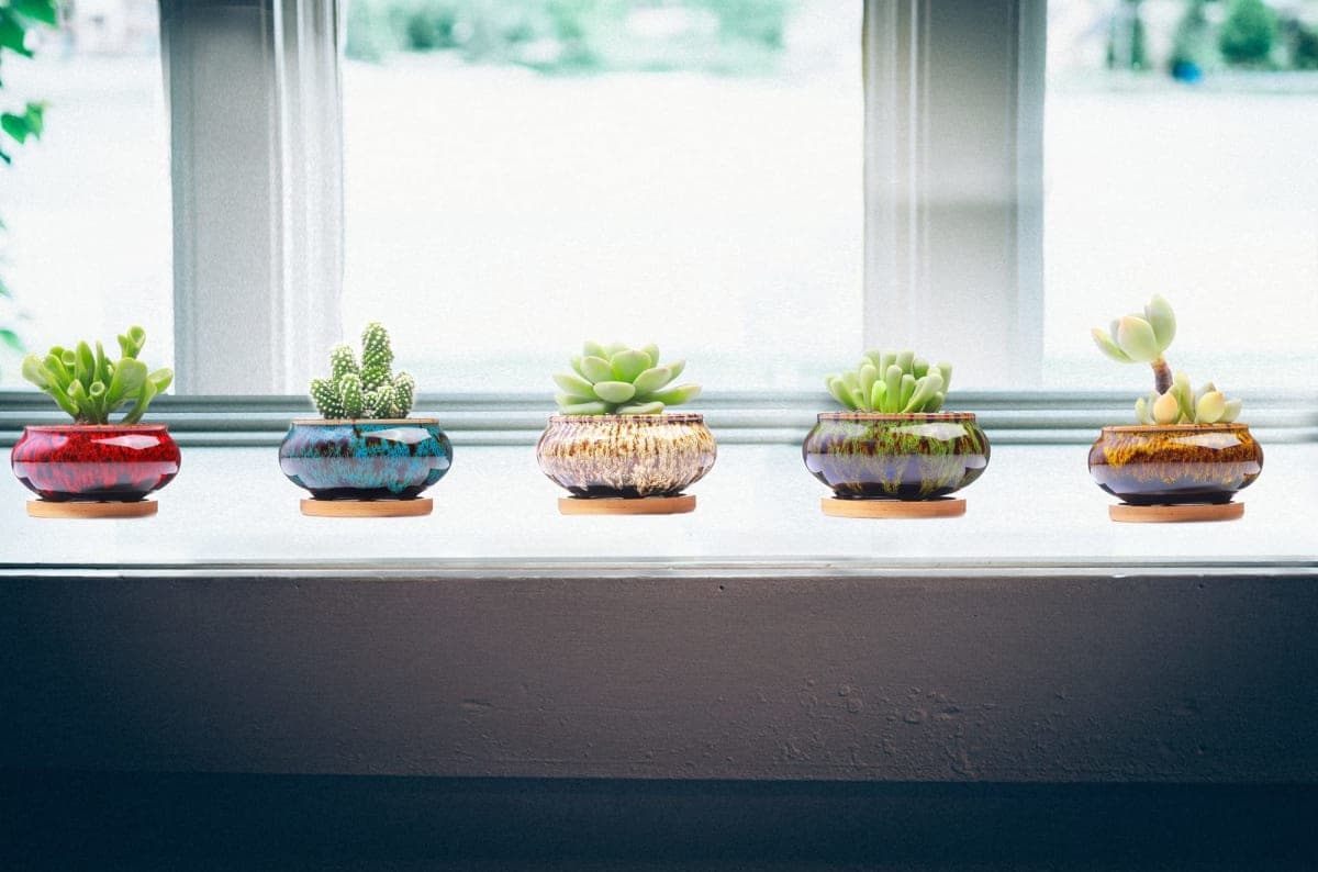 LamDawn Cute Ceramic Succulent Garden Pots, Planter with Drainage and Attached Saucer, Set of 5 -Plants Not Included (Burner) thumbnail 4