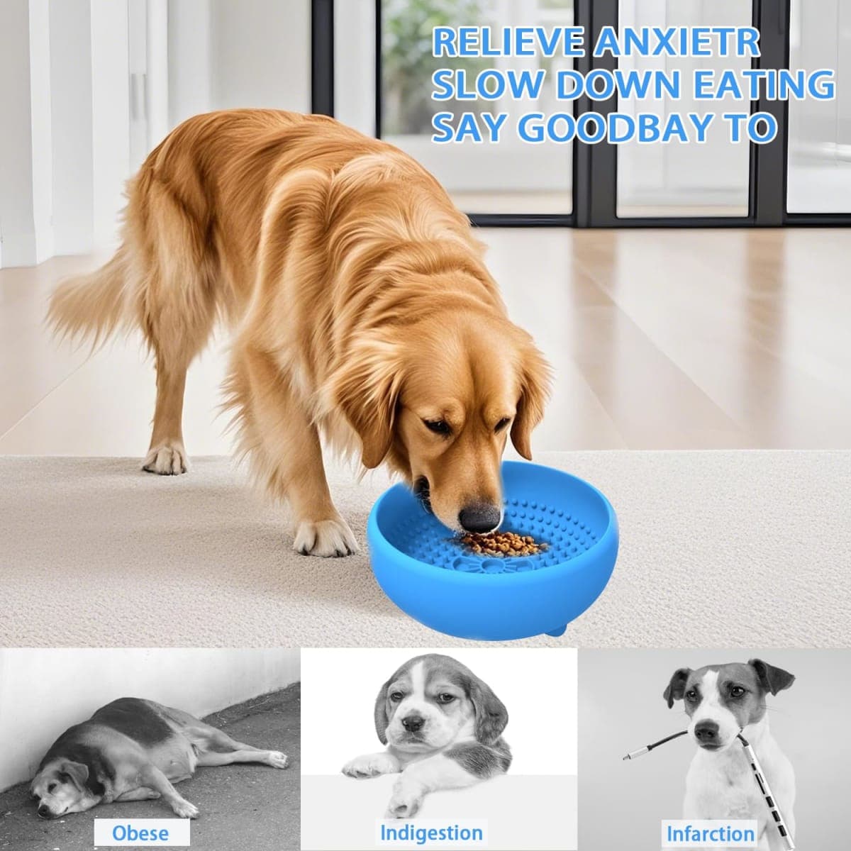 Saphe Dog Lick Bowl, Anxiety Relief Lick Silicone Dog Bowl, Non-Slip Licking mat for Distraction, Freezer & Dishwasher Safe (Blue) thumbnail 2