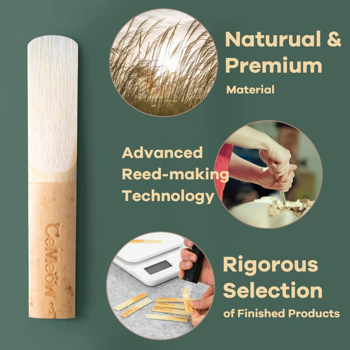 Clarinet Reeds 2.5 10Pack with Plastic Box, High Quality Material Thinner Reed Tip Advanced Cutting Technology for Clarinet Beginner and Player thumbnail 3