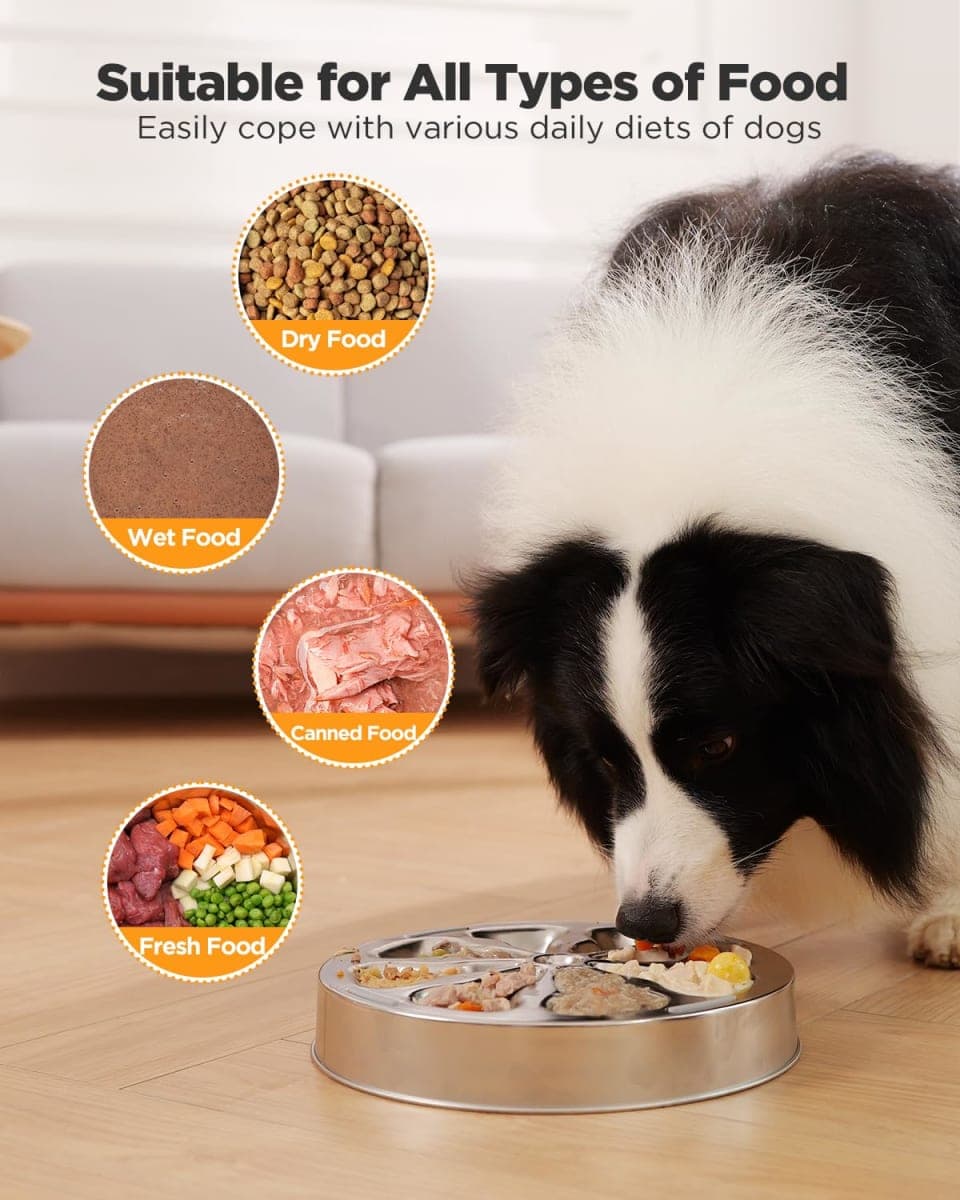 Oiwliur 2-Pack Slow Feeder Dog Bowls – Stainless Steel Metal Bowls with Double-Sided Design, 5 Cups Large Capacity for Dry, Wet, Raw Food, Slow Feeding for All Dog Sizes, Easy to Clean, Non-Slip thumbnail 3