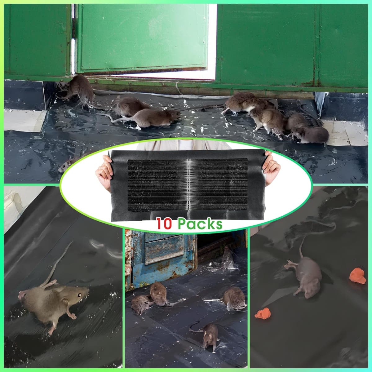 Qualirey 10 Pack 24 x 11'' Mouse Glue Traps, Anti Slip Rat Snake Rodent Sticky Pads Pet Friendly, Peanut Scented Mice Glue Board that Work for Home Indoor Outdoor Restaurant Kitchen Hotel Office thumbnail 4