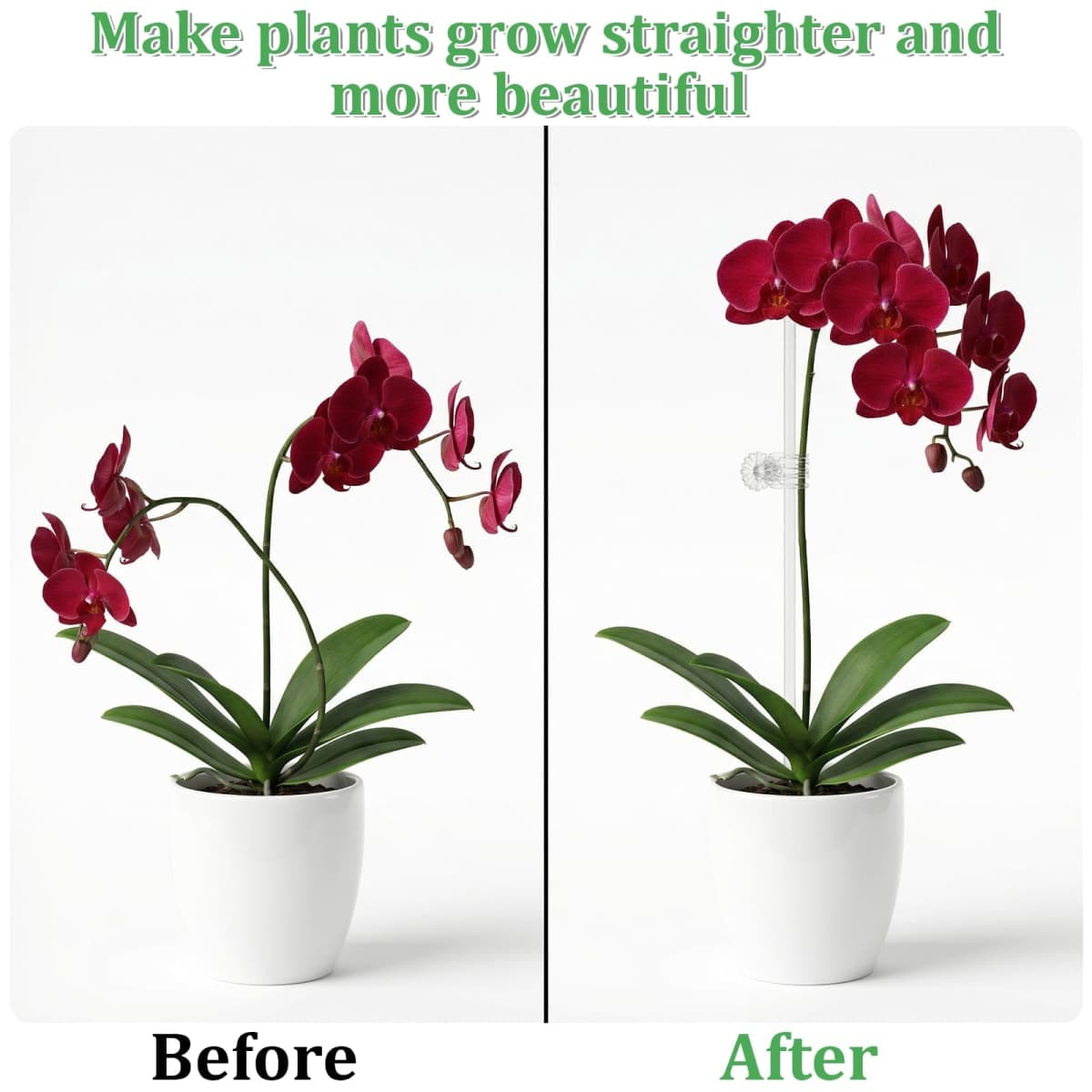 AOZUO 50 Pcs Acrylic Plant Stakes, 11 & 16 Inch Acrylic Plant Stakes with 60 Clips Clear Plants Support Stakes Kit Reusable Garden Orchid Stake for Indoor and Outdoor Potted Plants Vegetables Flowers thumbnail 4